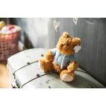 Oso de peluche con sudadera Monty