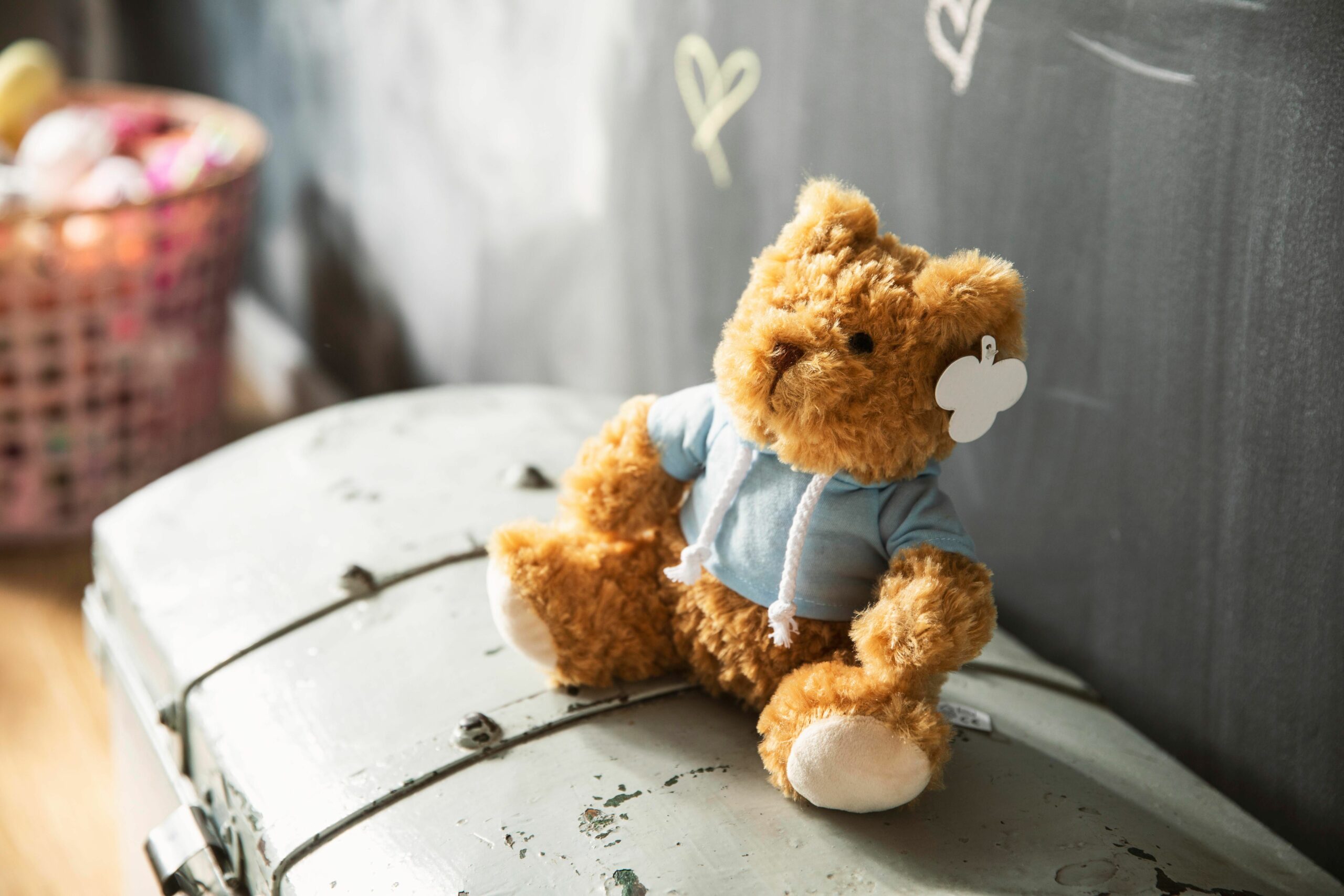 Oso de peluche con sudadera Monty